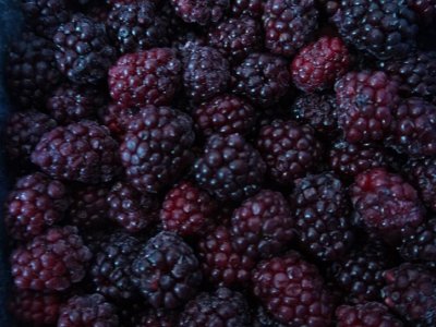 IQF Blackberry