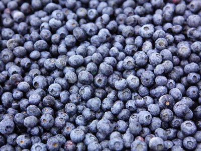 IQF Blueberry