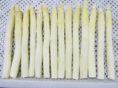 IQF White Asparagus