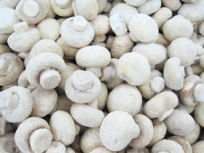 IQF Champignon Mushroom