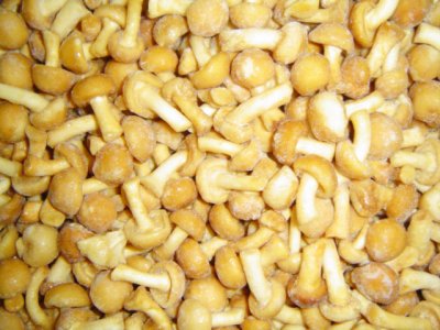 IQF Nameko Mushroom