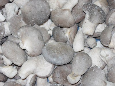 IQF Oyster Mushroom